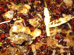 -老板恋上鱼(恒隆广场店)