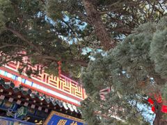 -蓬莱阁景区