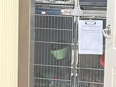 -守诺宠物医院·眼科· 特色牙科·异宠专科(虹口店)