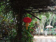 -海南热带野生动植物园