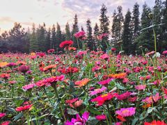 景点-艾溪湖湿地公园