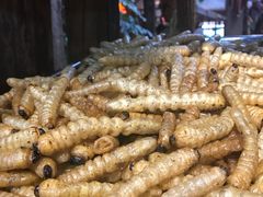 -昆虫窝子·特色云南菜(拓东路总店)