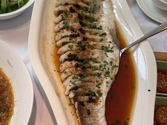 -院里寻菜·精致庭院菜(观沙岭店)