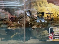 -帝企鹅自助餐厅•儿童岛•真企鹅(长隆企鹅酒店)