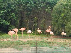 -西安秦岭野生动物园