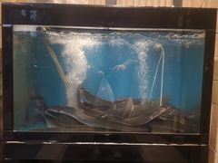 -味家烤肉烤鳗鱼牛排(西塔旗舰店)