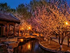 -三里河公园
