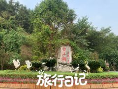-广州白江湖森林公园