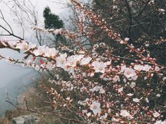 -香山公园-东宫门售票处