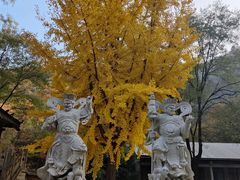 -青州仰天山