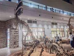 -自贡恐龙博物馆