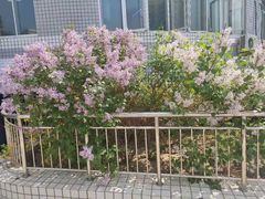 -北京中医药大学东方医院(方庄院区)