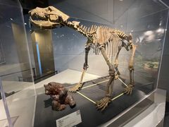 -北京周口店北京人遗址博物馆