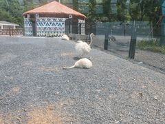 -无锡动物园·太湖欢乐园