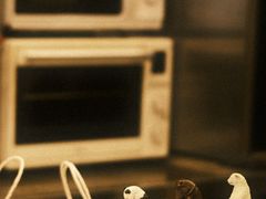 -shark burger·鲨鱼汉堡(交子大道店)