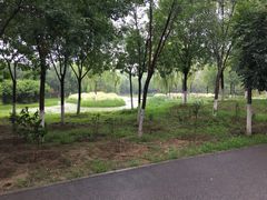 -东郊湿地公园