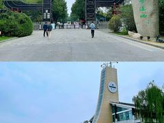 -溱湖国家湿地公园