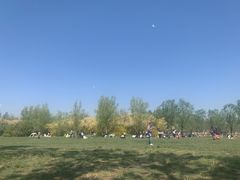 -杨柳青庄园