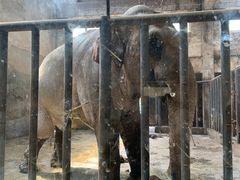 -石家庄市动物园