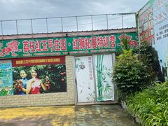 -荔枝红五号农庄