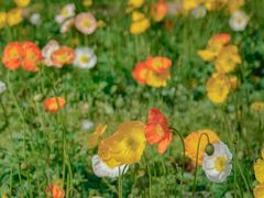 -名花谷生态庄园