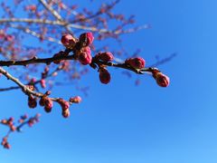 -鹫峰国家森林公园