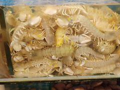 -兴隆海鲜菜馆