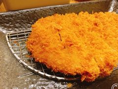 -胜博殿霸王树(嘉里中心店)