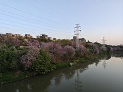 -广东花都湖国家湿地公园