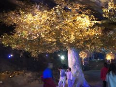 -尧治河旅游度假区