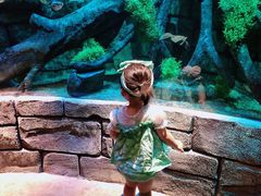 -沈阳海洋探索中心