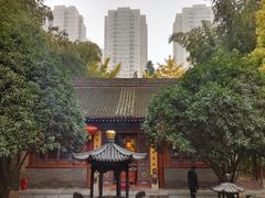 -罔极寺