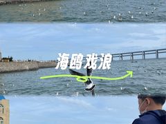 -黑石礁公园