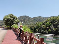 -广州市石门国家森林公园