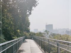 -佛山华盖山公园