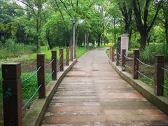 -高子水居