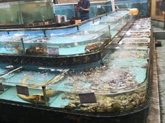 -顺风山庄(水濂山店)