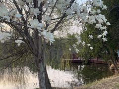 -江苏三台山国家森林公园