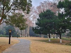 -习家池