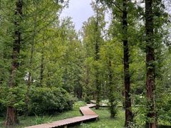 -国家植物园南园