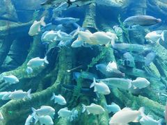 -波塞冬旅游度假区