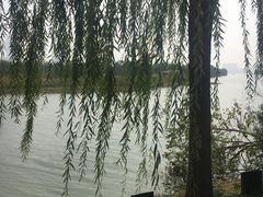 -艾溪湖湿地公园