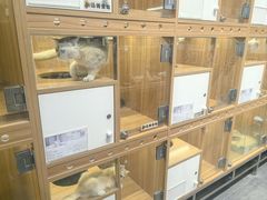 -汤姆宠物(长青北路店)