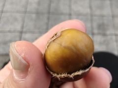 -阿男野栗王(金门路店)