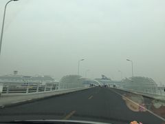 -吴淞口国际邮轮码头-停车场