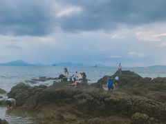 -盐洲岛