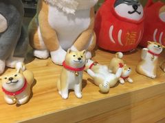 -柴务处·柴犬主题狗咖