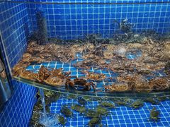 -星伦多自助料理·涮烤一体(虹悦城店)