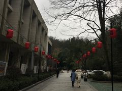 -云碧峰国家森林公园