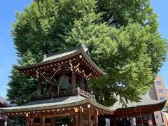 -医王山·飞騨国分寺